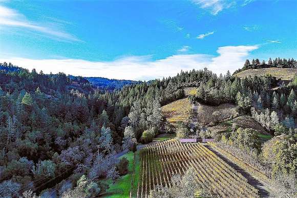 29.8 Acres of Agricultural Land for Sale in St. Helena, California