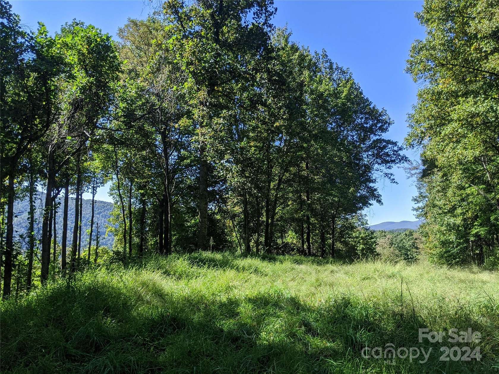2.6 Acres of Residential Land for Sale in Black Mountain, North Carolina