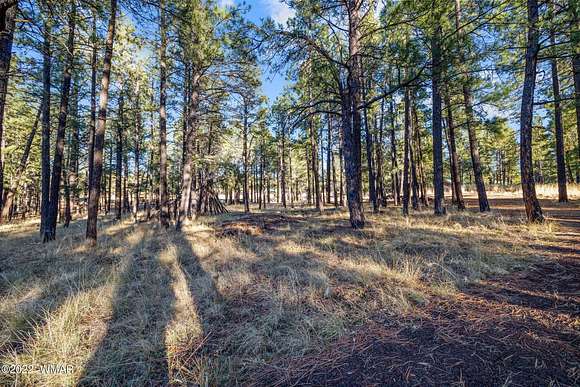 1.2 Acres of Residential Land for Sale in Greer, Arizona