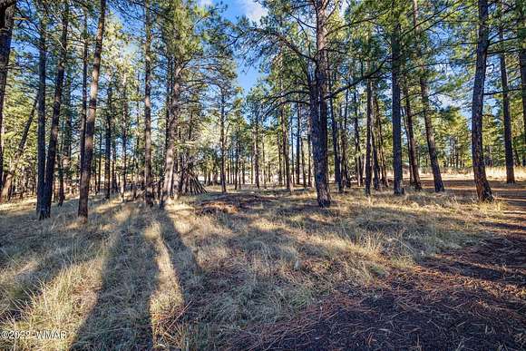 1.17 Acres of Residential Land for Sale in Greer, Arizona