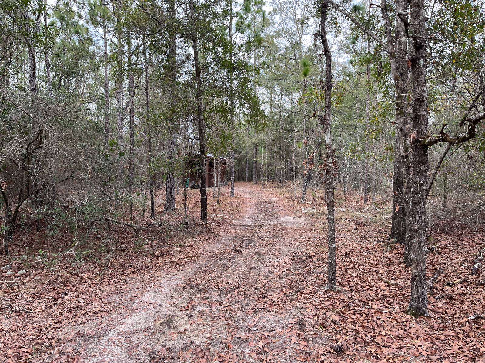 23.5 Acres of Land for Sale in Chipley, Florida
