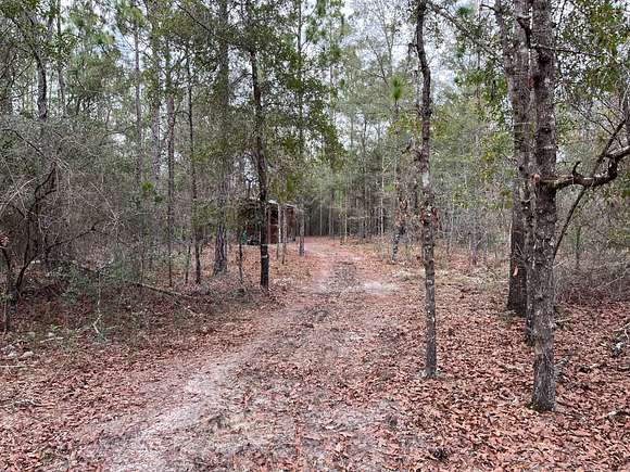 23.5 Acres of Land for Sale in Chipley, Florida