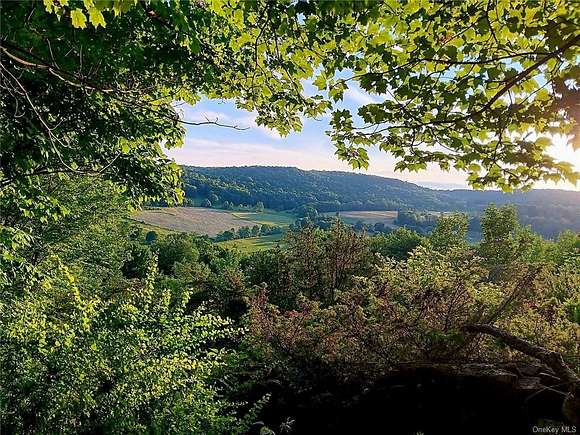 25 Acres of Land for Sale in Callicoon, New York