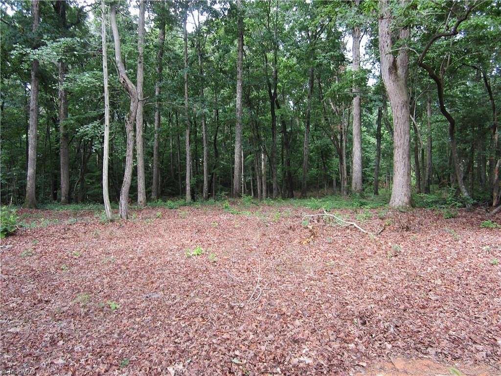 1.3 Acres of Residential Land for Sale in Lexington, North Carolina