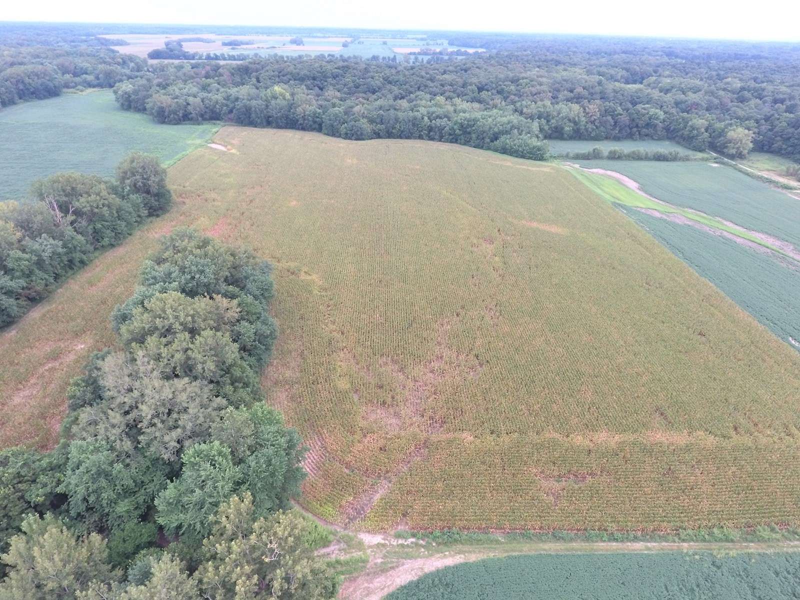 40 Acres of Recreational Land & Farm for Sale in Newton, Illinois