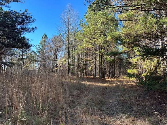 72.8 Acres of Recreational Land for Sale in Tallapoosa, Georgia