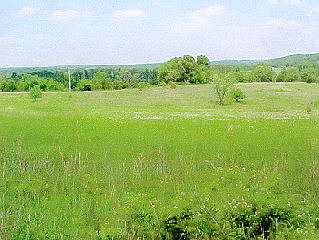 9.5 Acres of Land for Sale in Pomona, Missouri