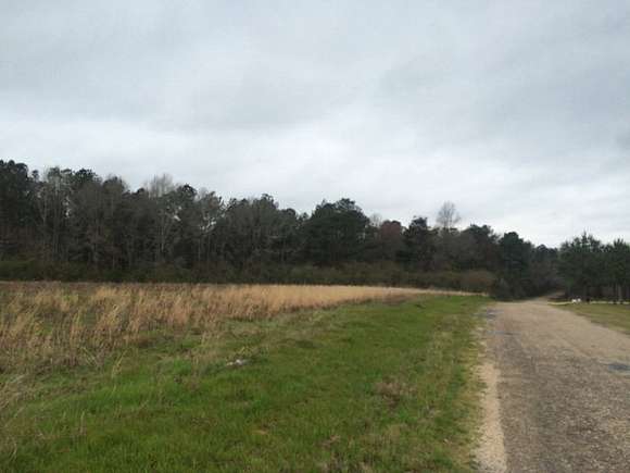 42.2 Acres of Land for Sale in Tylertown, Mississippi