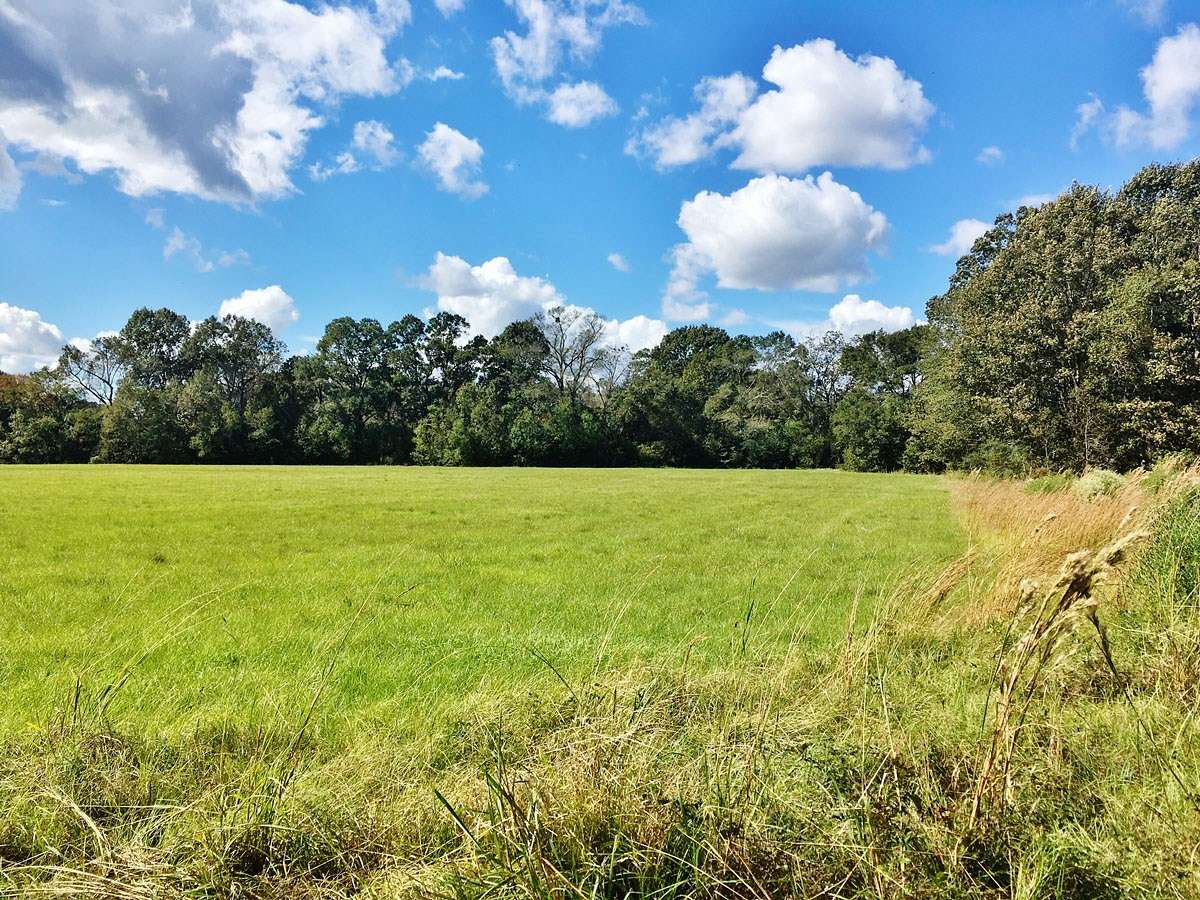 238.97 Acres of Land for Sale in Zachary, Louisiana