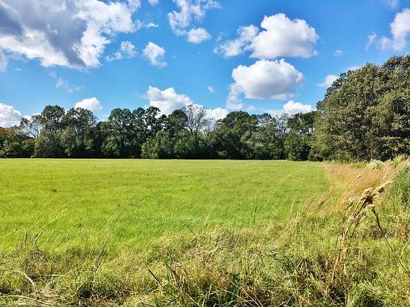 239 Acres of Land for Sale in Zachary, Louisiana