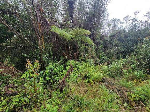 0.28 Acres of Land for Sale in Volcano, Hawaii