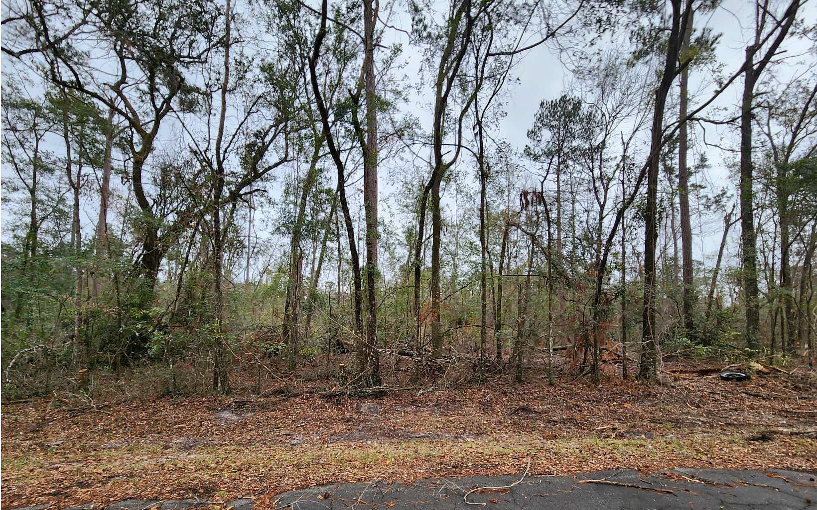 1 Acre of Residential Land for Sale in Live Oak, Florida