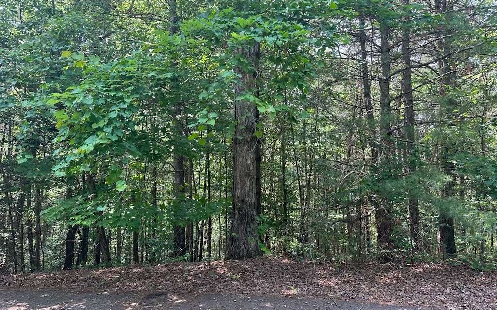 0.76 Acres of Residential Land for Sale in Ellijay, Georgia