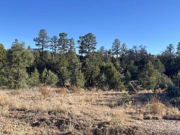 80 Acres of Recreational Land for Sale in Magdalena, New Mexico
