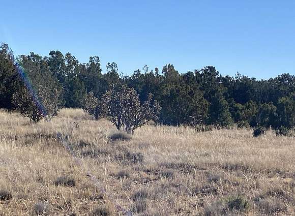 10.1 Acres of Land for Sale in Sandia Park, New Mexico