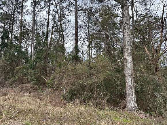 9.8 Acres of Commercial Land for Sale in Brundidge, Alabama