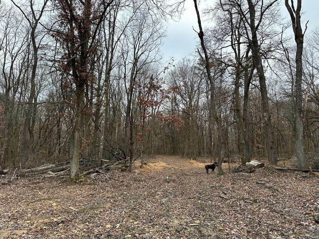 101 Acres of Recreational Land for Sale in Cranberry, Pennsylvania