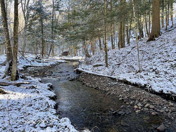 20 Acres of Recreational Land for Sale in Camden, New York