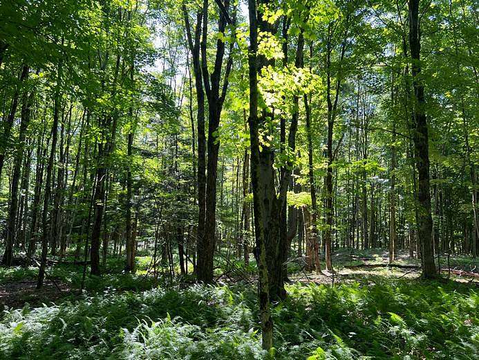 20 Acres of Recreational Land for Sale in Camden, New York