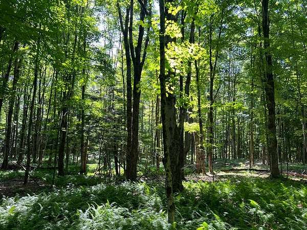 20 Acres of Recreational Land for Sale in Camden, New York