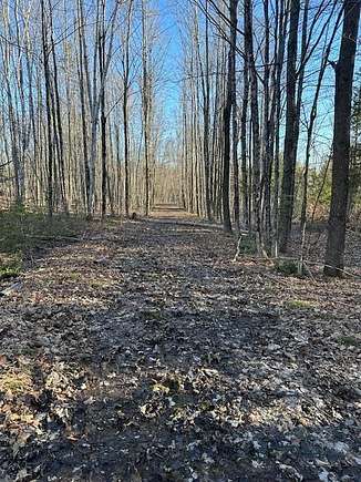 51 Acres of Recreational Land for Sale in New Sharon, Maine