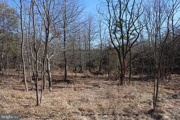 20.1 Acres of Land for Sale in Romney, West Virginia