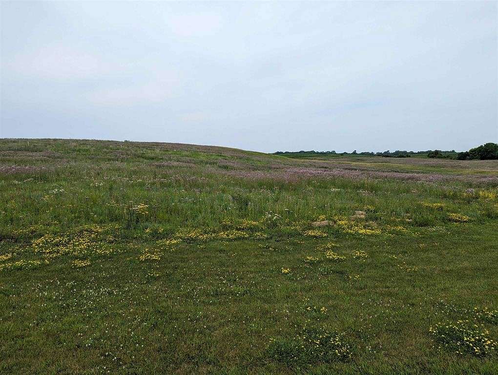 1.2 Acres of Residential Land for Sale in Estherville, Iowa