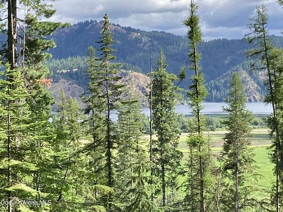 43 Acres of Land for Sale in Medimont, Idaho