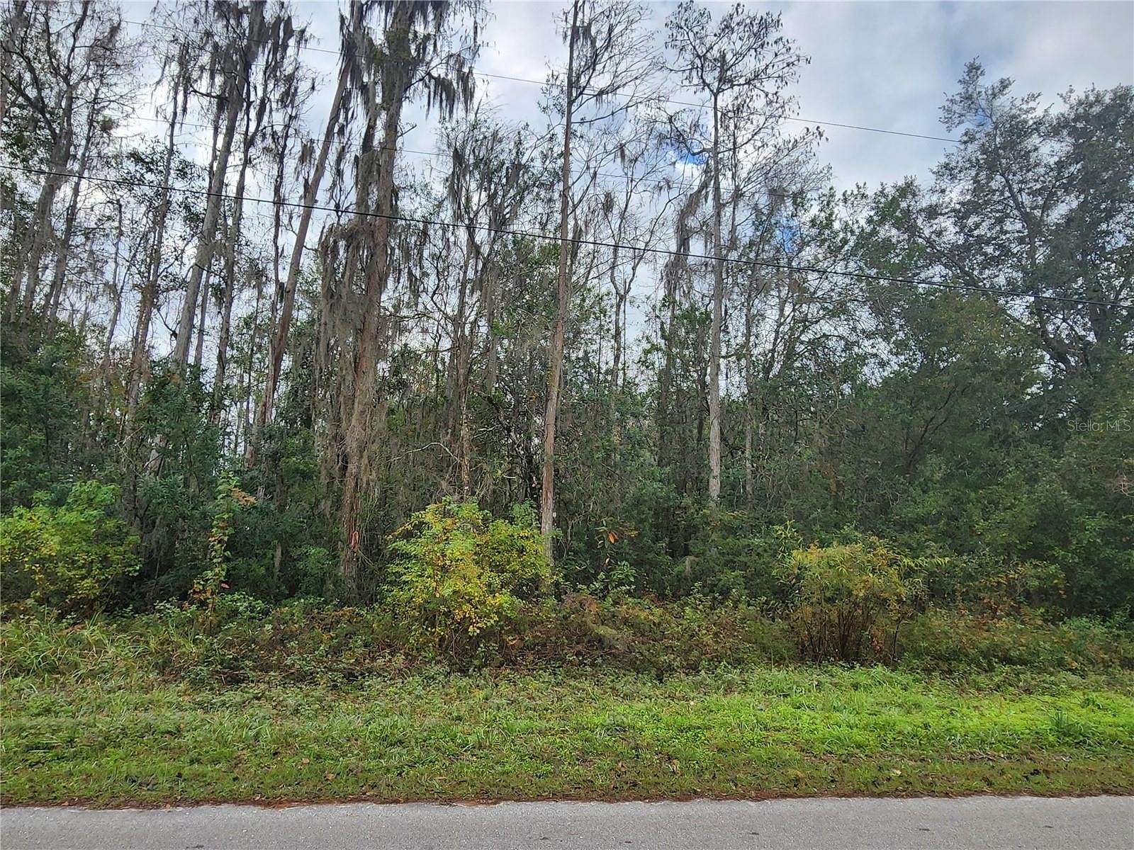 1 Acre of Residential Land for Sale in Wesley Chapel, Florida