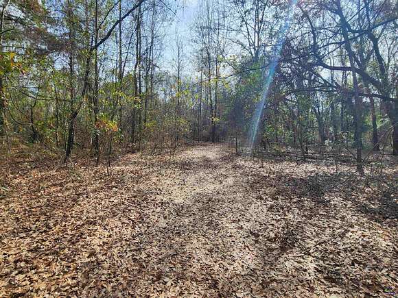 24.8 Acres of Land for Sale in Macon, Georgia