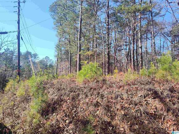 Land for Sale in Sylacauga, Alabama