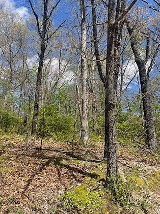 0.27 Acres of Land for Sale in Bella Vista, Arkansas