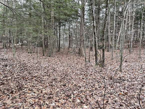 18 Acres of Land for Sale in Charlestown, New Hampshire