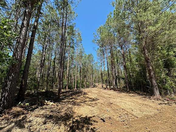 14 Acres of Land for Sale in Braxton, Mississippi