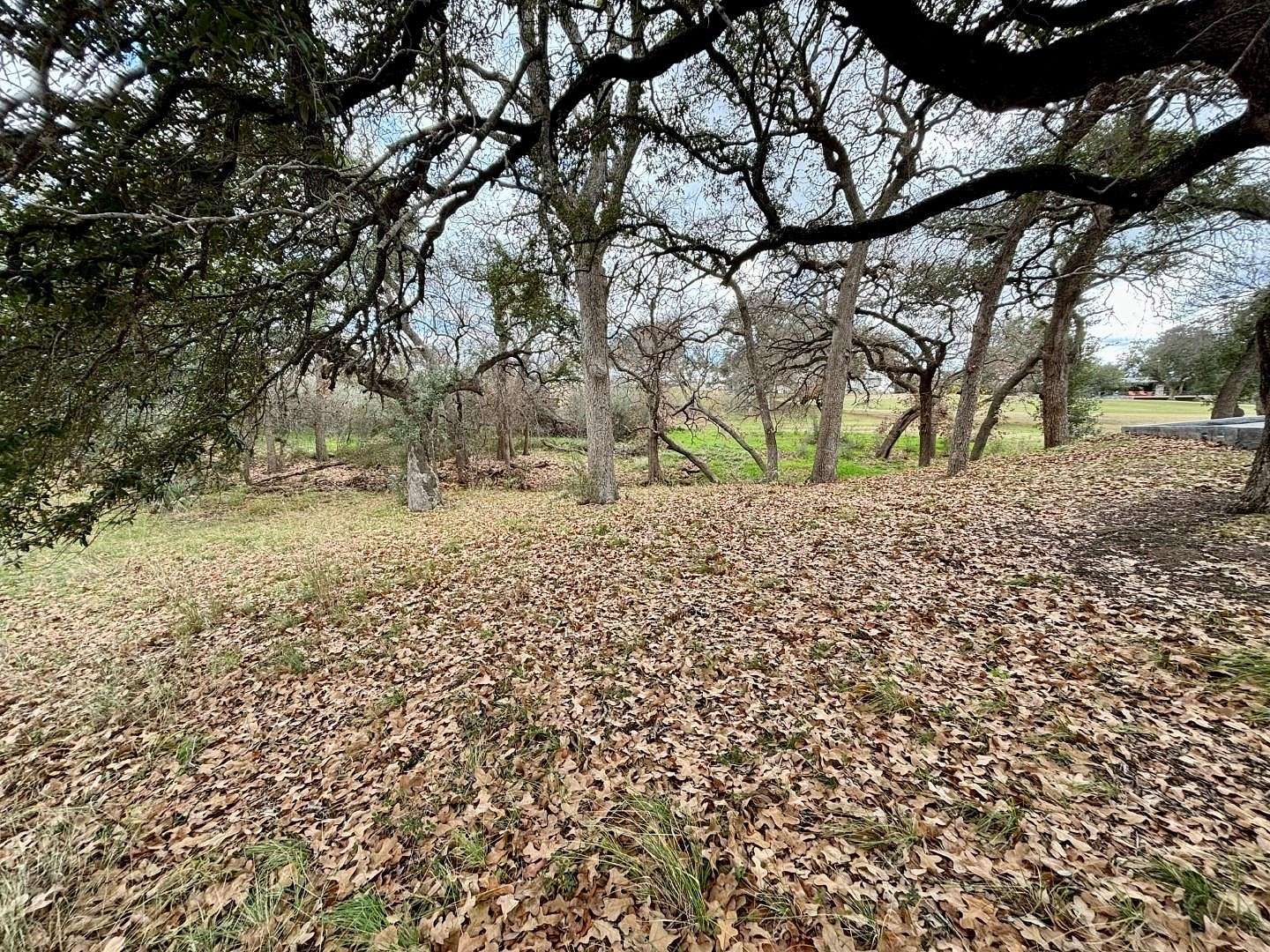 0.39 Acres of Residential Land for Sale in Horseshoe Bay, Texas