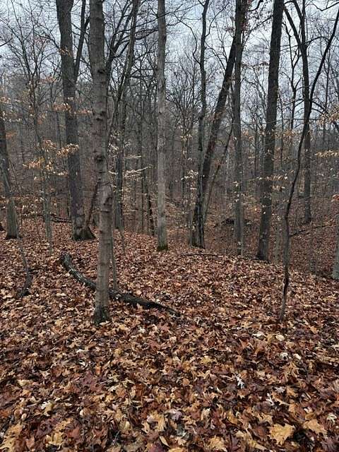 1.16 Acres of Residential Land for Sale in Martinsville, Indiana