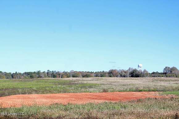 14 Acres of Agricultural Land for Sale in Lucedale, Mississippi