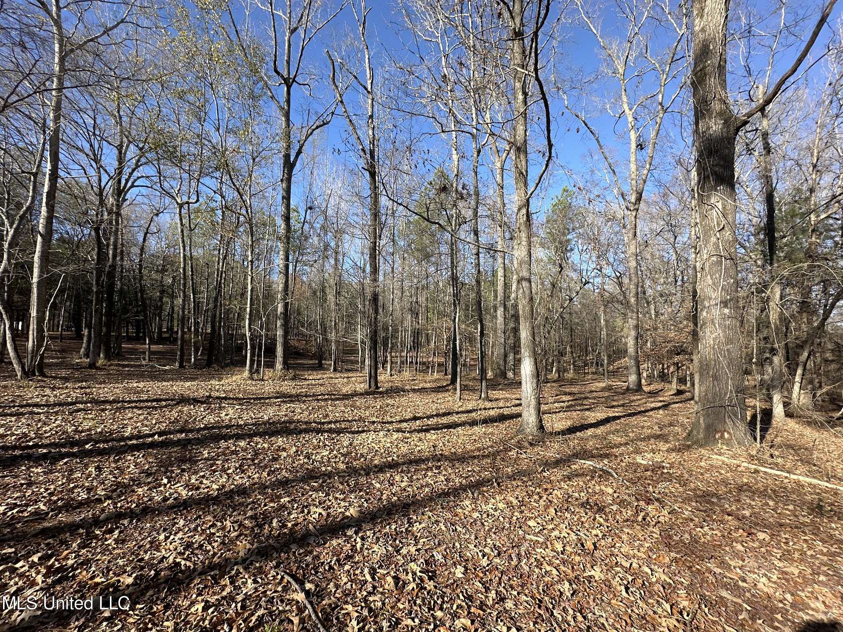 6.5 Acres of Residential Land for Sale in Florence, Mississippi