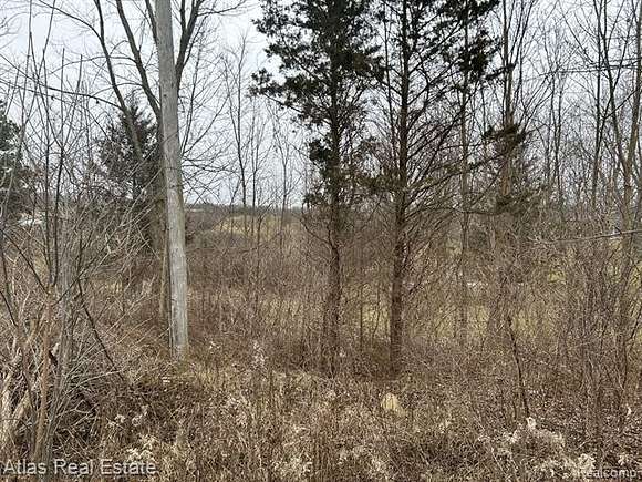 101 Acres of Recreational Land for Sale in Goodrich, Michigan