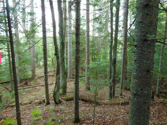 61 Acres Of Land For Sale In Presque Isle, Wisconsin - LandSearch