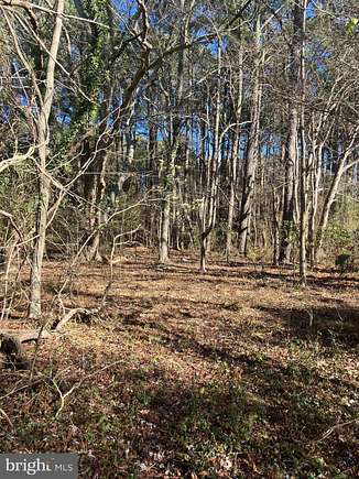 1 Acre of Residential Land for Sale in Marion, Maryland