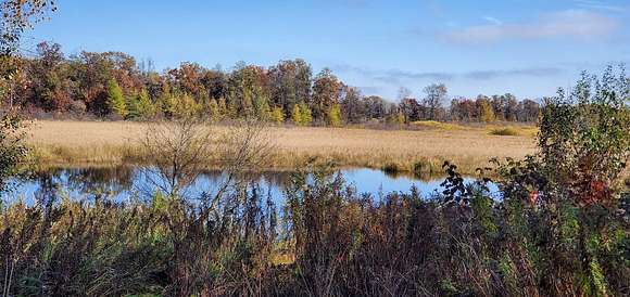 40 Acres of Recreational Land for Sale in Friendship, Wisconsin