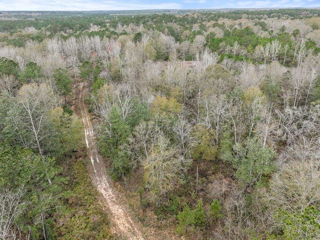 28.2 Acres of Land for Sale in Carriere, Mississippi