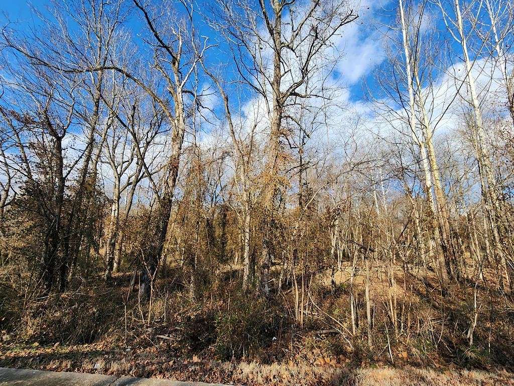 0.13 Acres of Residential Land for Sale in Paris, Tennessee