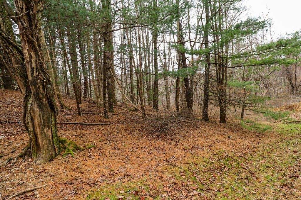0.3 Acres of Residential Land for Sale in Fancy Gap, Virginia