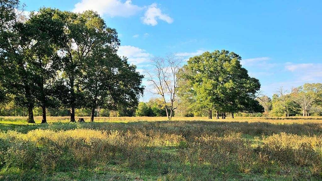 32.9 Acres of Agricultural Land for Sale in Lufkin, Texas