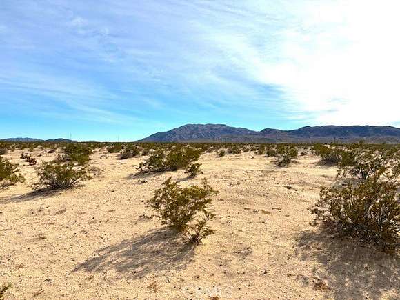 5 Acres of Residential Land for Sale in Twentynine Palms, California