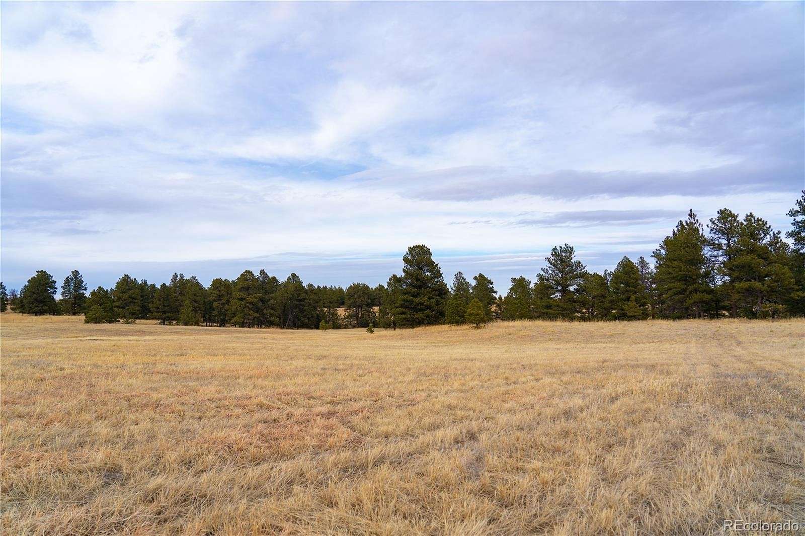 20 Acres of Land for Sale in Elizabeth, Colorado