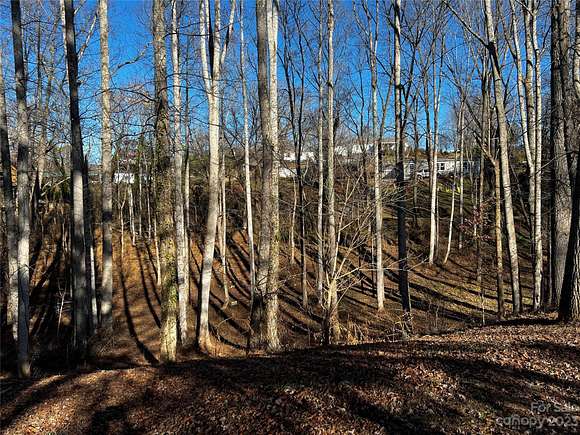 1 Acre of Land for Sale in Asheville, North Carolina