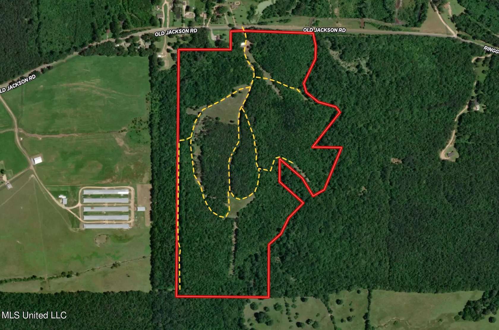 92 Acres of Recreational Land for Sale in Forest, Mississippi